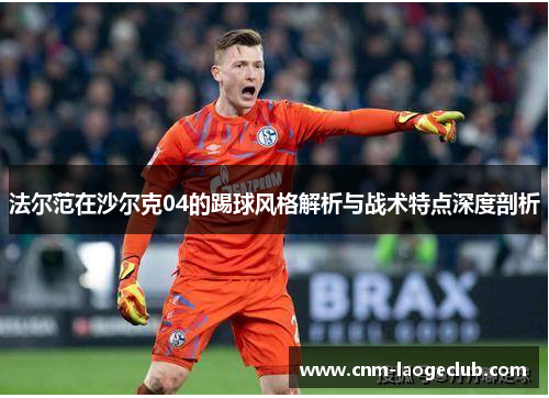 法尔范在沙尔克04的踢球风格解析与战术特点深度剖析