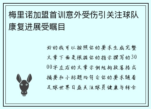 梅里诺加盟首训意外受伤引关注球队康复进展受瞩目